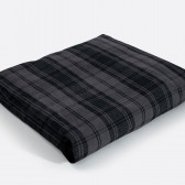 afscl-04.jpg